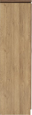 Charles 3 Door All Hanging Mirrored Wardrobe
Oak Effect Veneer with Walnut Trim